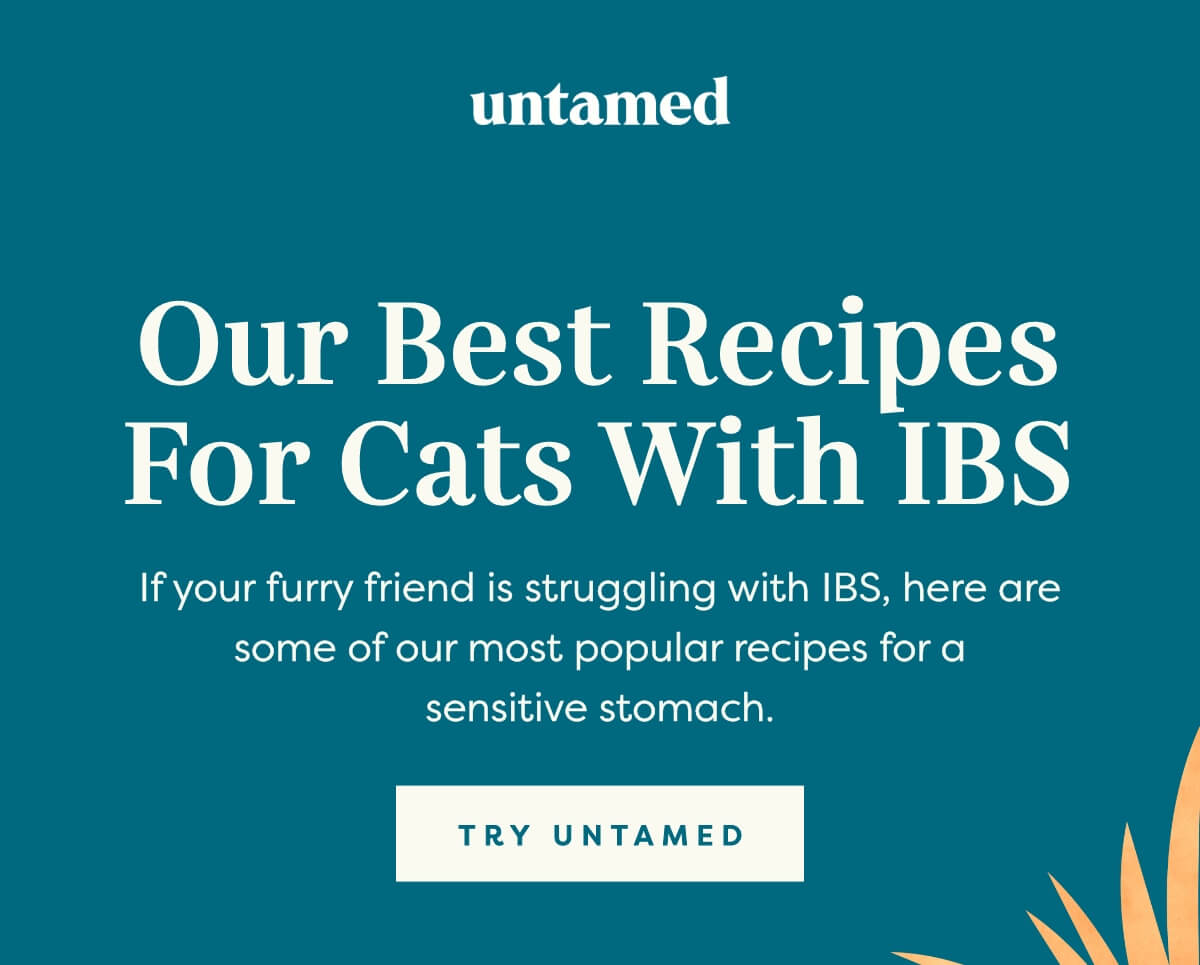 Try Untamed