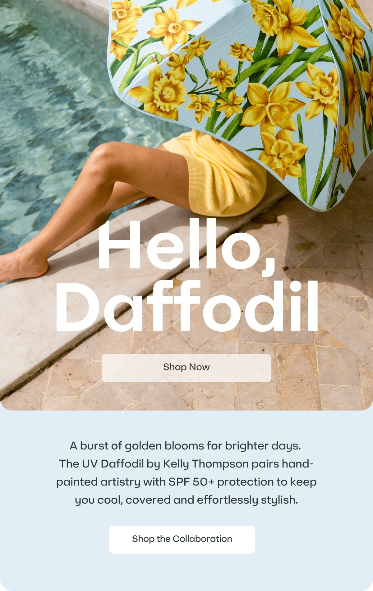 BLUNT Daffodil