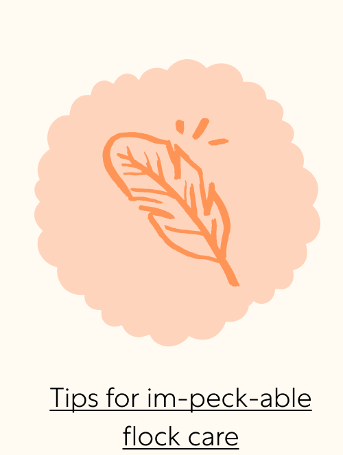 Tips for im-peck-able flock care