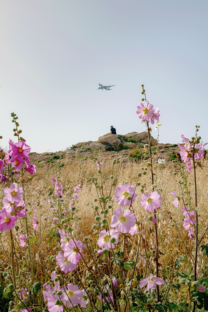 A slide show of scenes from Lebanon includes photos of people near buildings in ruins, beachgoers standing on rocks, a white horse near stone structures and a plane flying over a field of wildflowers. 