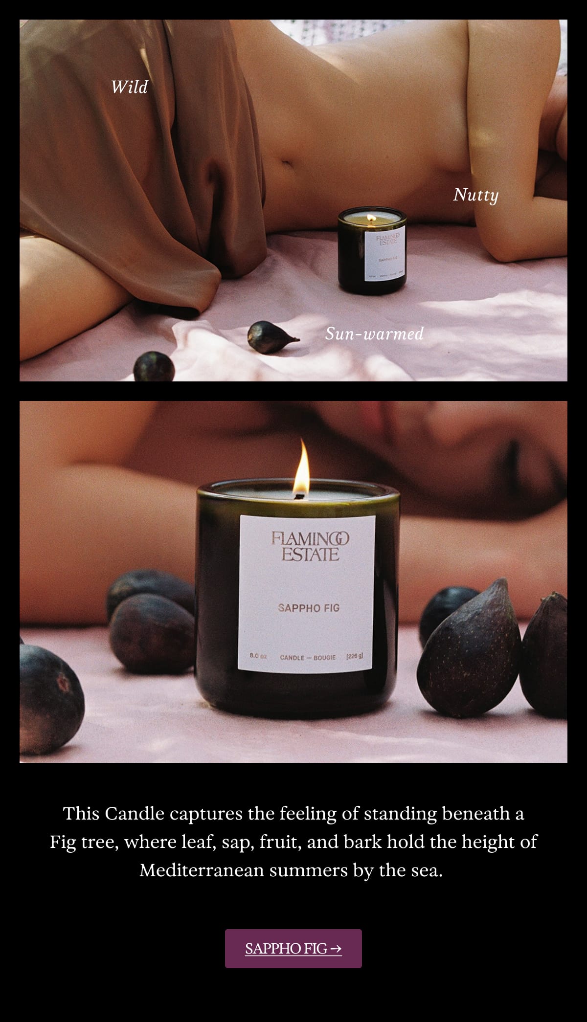 Sappho Fig Candle