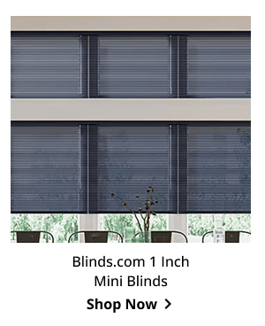 Blinds.com 1 Inch Mini Blinds | Shop Now >
