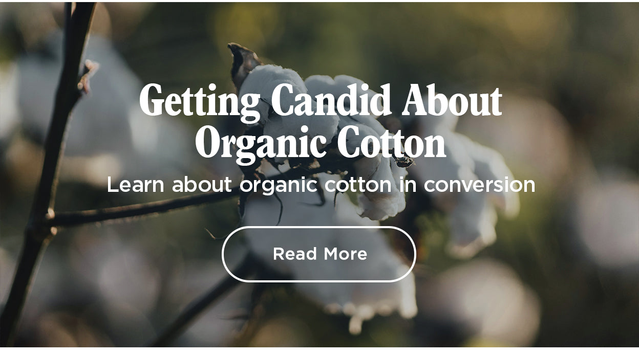 Getting Candid About Organic Cotton