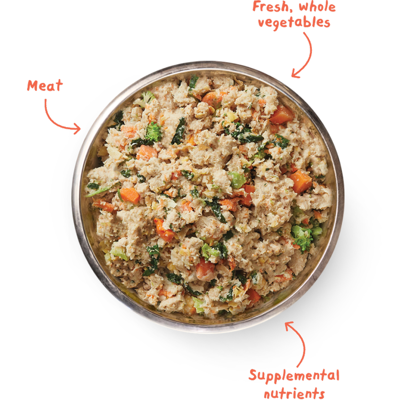 A bowl of fresh pet food with labels for 'Meat', 'Fresh, whole vegetables', and 'Supplemental nutrients'