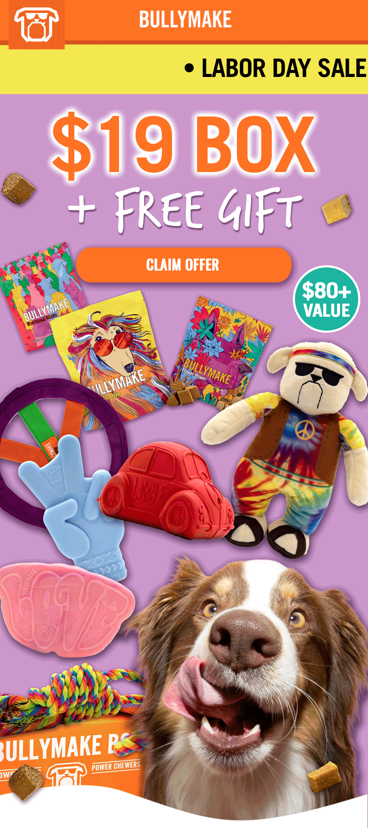 Bullymake Dog Toy Subscription Box