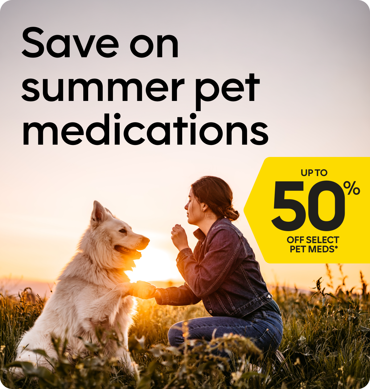 Save on summer pet medications