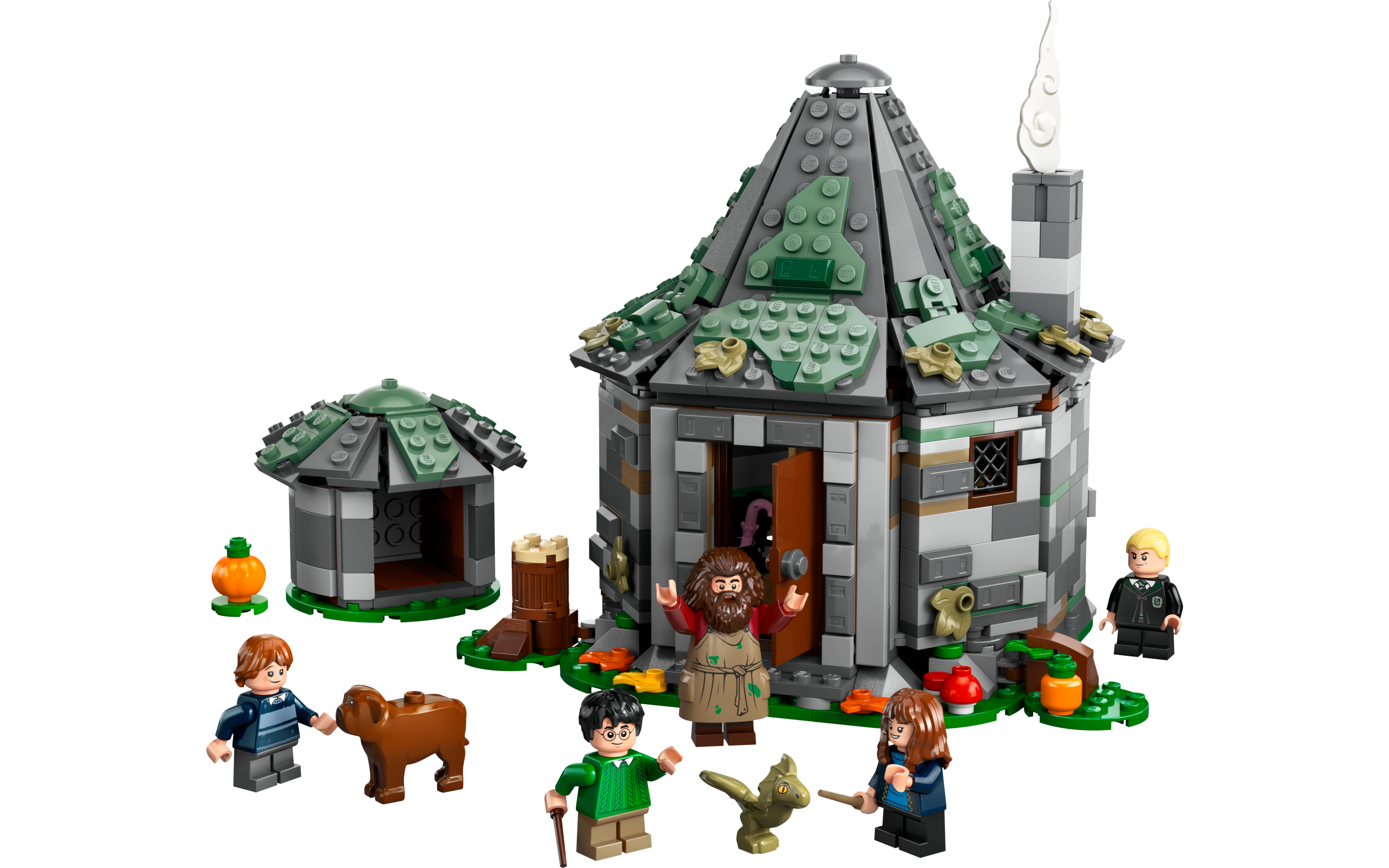 Hagrid's Hut: An Unexpected Visit