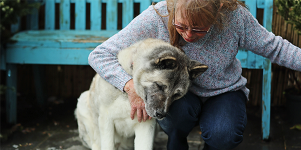 Image of a husky dog named Lola with her new owner