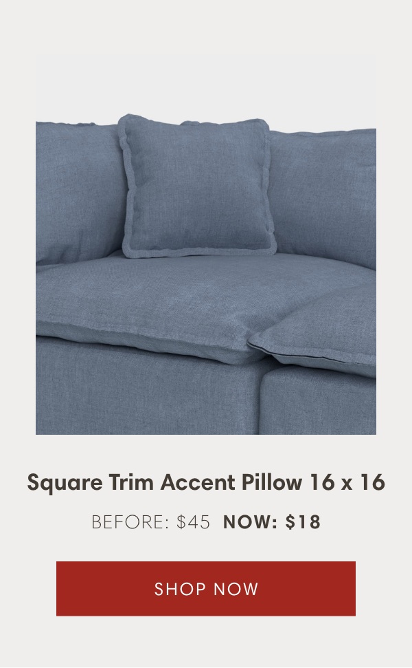 Square Trim Accent Pillow 16 x 16