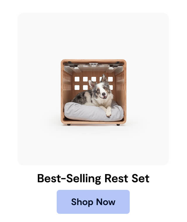 Best-Selling Rest Set