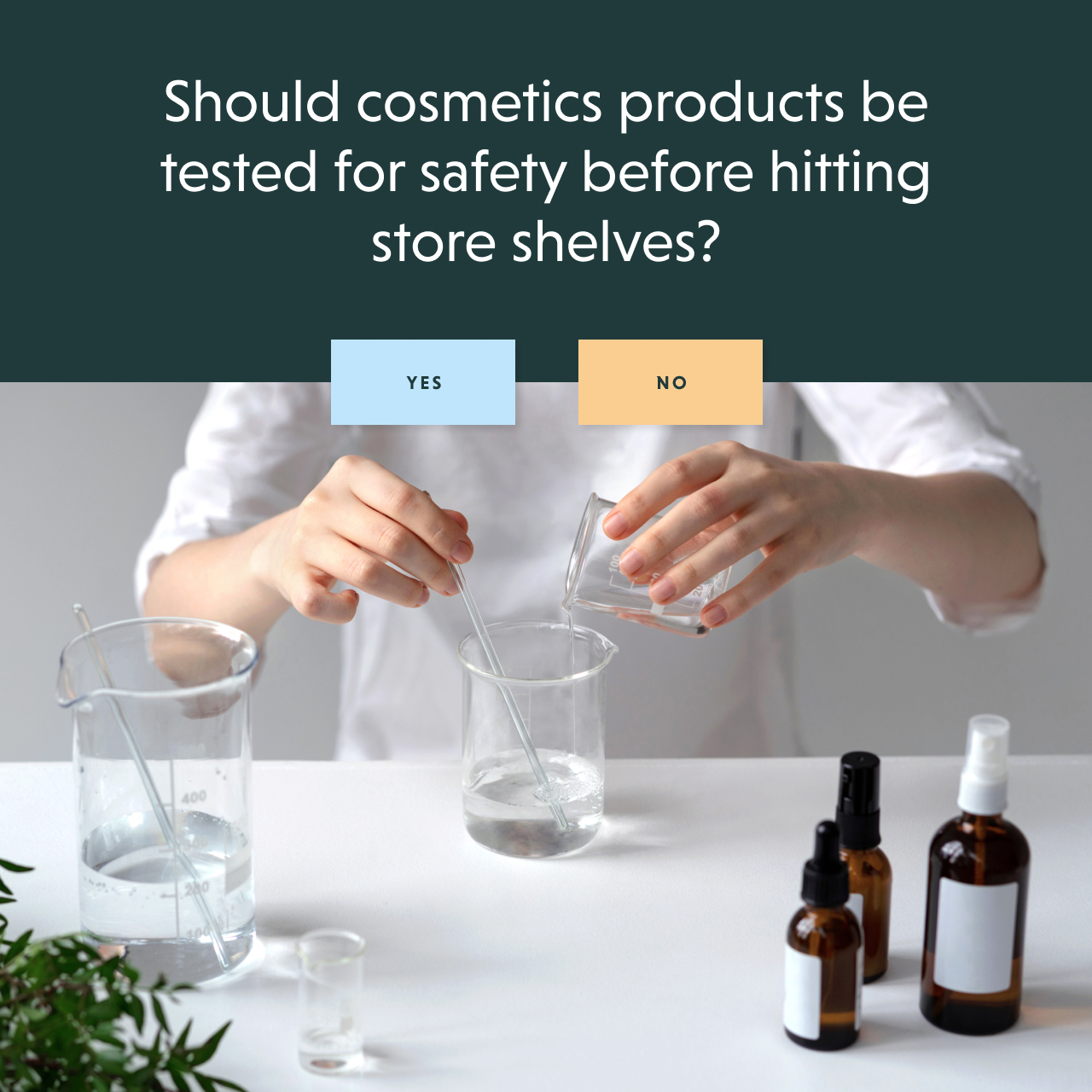 Should products be tested for safety? - YES / NO