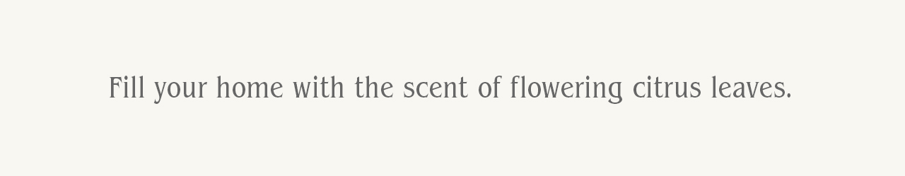 Fill your home with the scent of flowering citrus leaves.