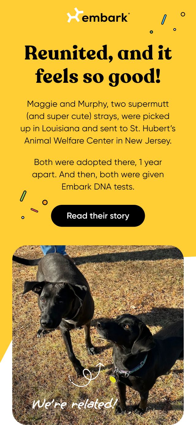Read Maggie and Murphy's story