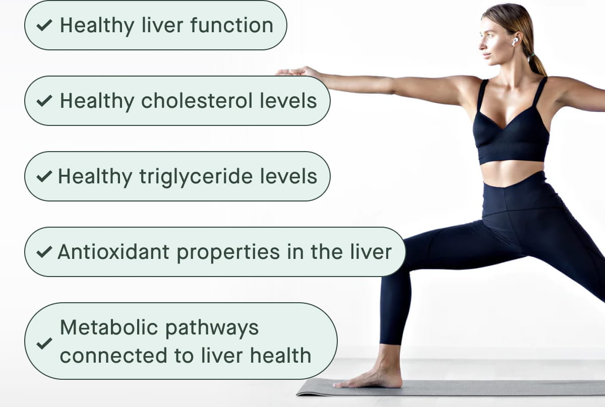Healthy liver function | Healthy cholesterol levels | Healthy triglyceride levels | Antioxidant properties in the liver | Metabolic pathways connected to liver health