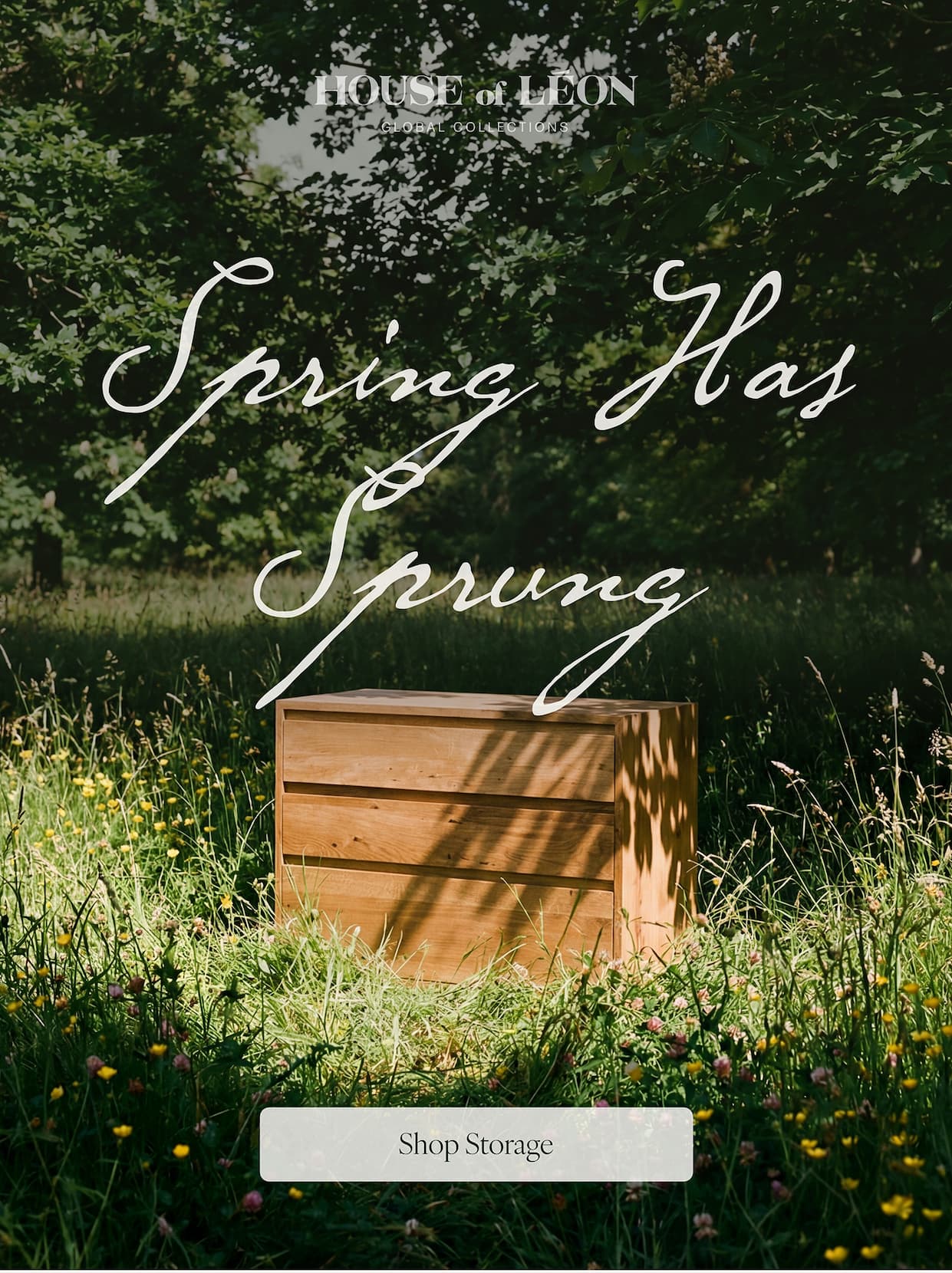 Spring Has Sprung