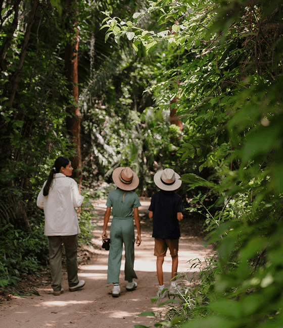 Three people walking on a lush forest path, surrounded by greenery.