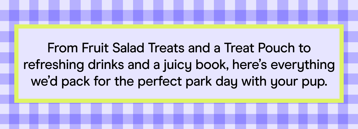 From Fruit Salad Treats and a Treat Pouch to refreshing drinks and a juicy book, here’s everything we’d pack for the perfect park day with your pup.