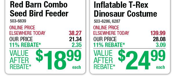 Inflatable T-Rex Dinosaur Costume - ONLY $24.99 After Rebate*!