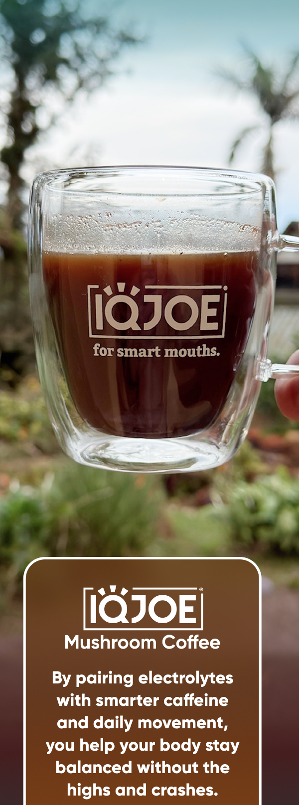 IQJOE