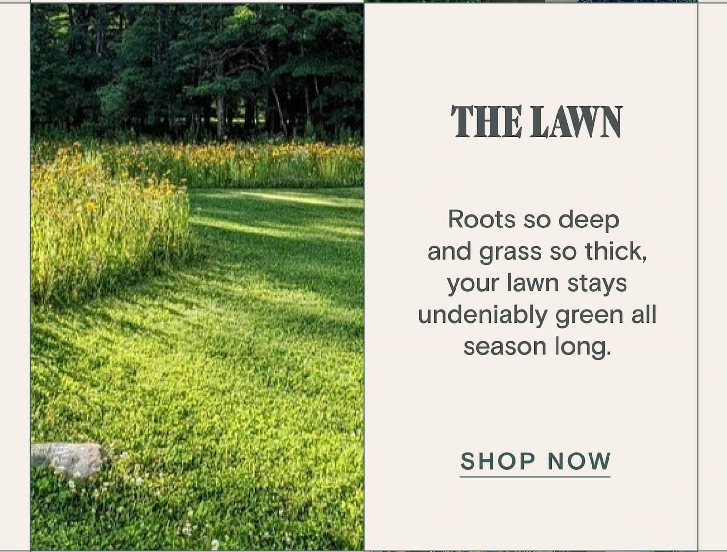 THE LAWN    Roots so deep  and grass so thick, your lawn stays undeniably green all season long.