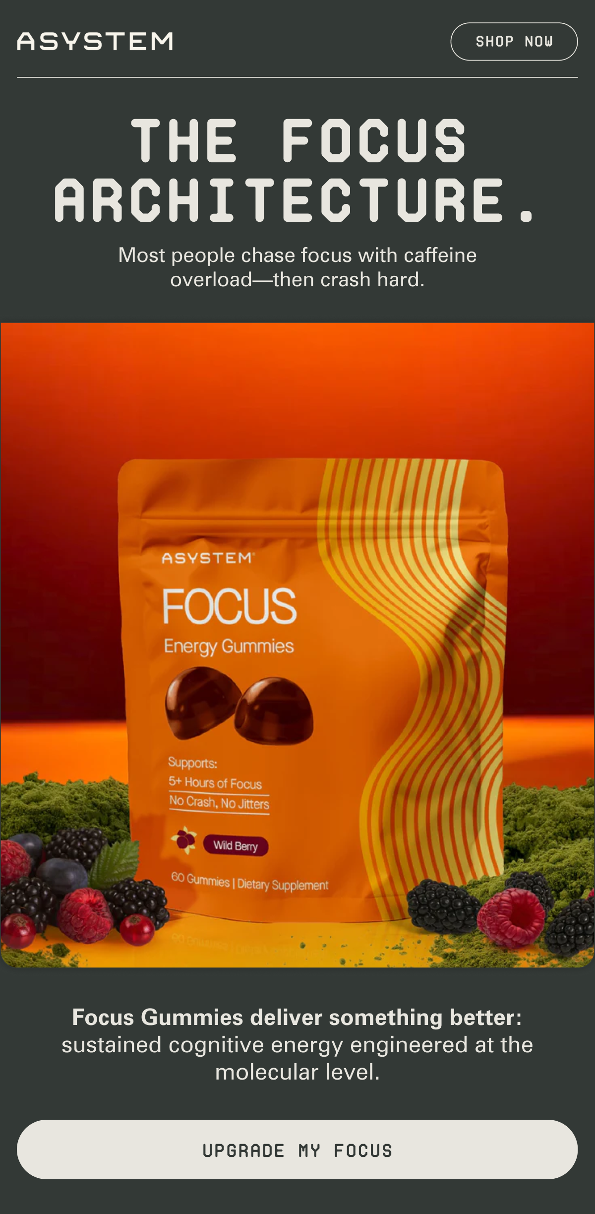 The focus architcture