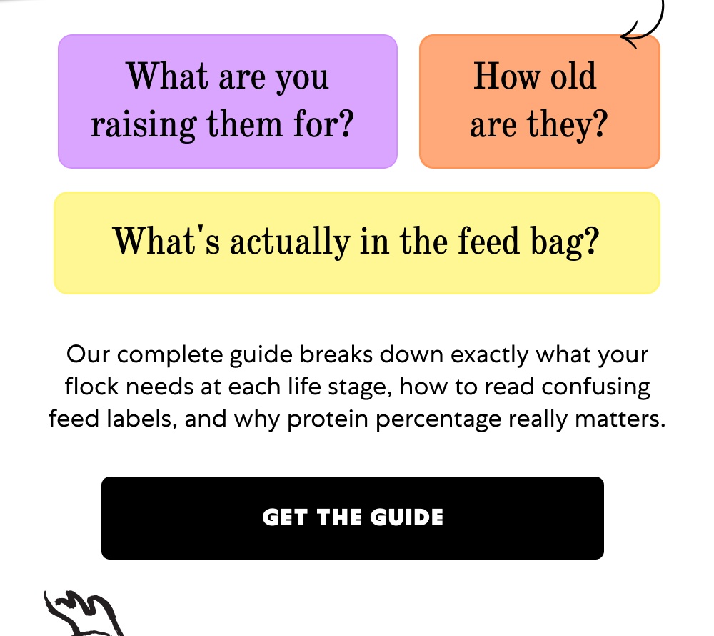 What are you raising them for?&nbsp; How old  are they? What's actually in the feed bag? Our complete guide breaks down exactly what your flock needs at each life stage, how to read confusing feed labels, and why protein percentage really matters. Get the Guide