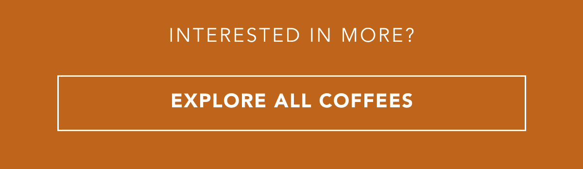 Interested in more? EXPLORE ALL COFFEES