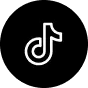 TikTok Icon