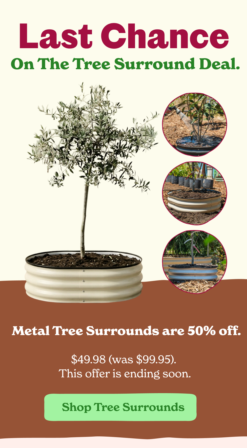  Metal Tree Surrounds are 50% off.   $49.98 (was $99.95).  This offer is ending soon.
