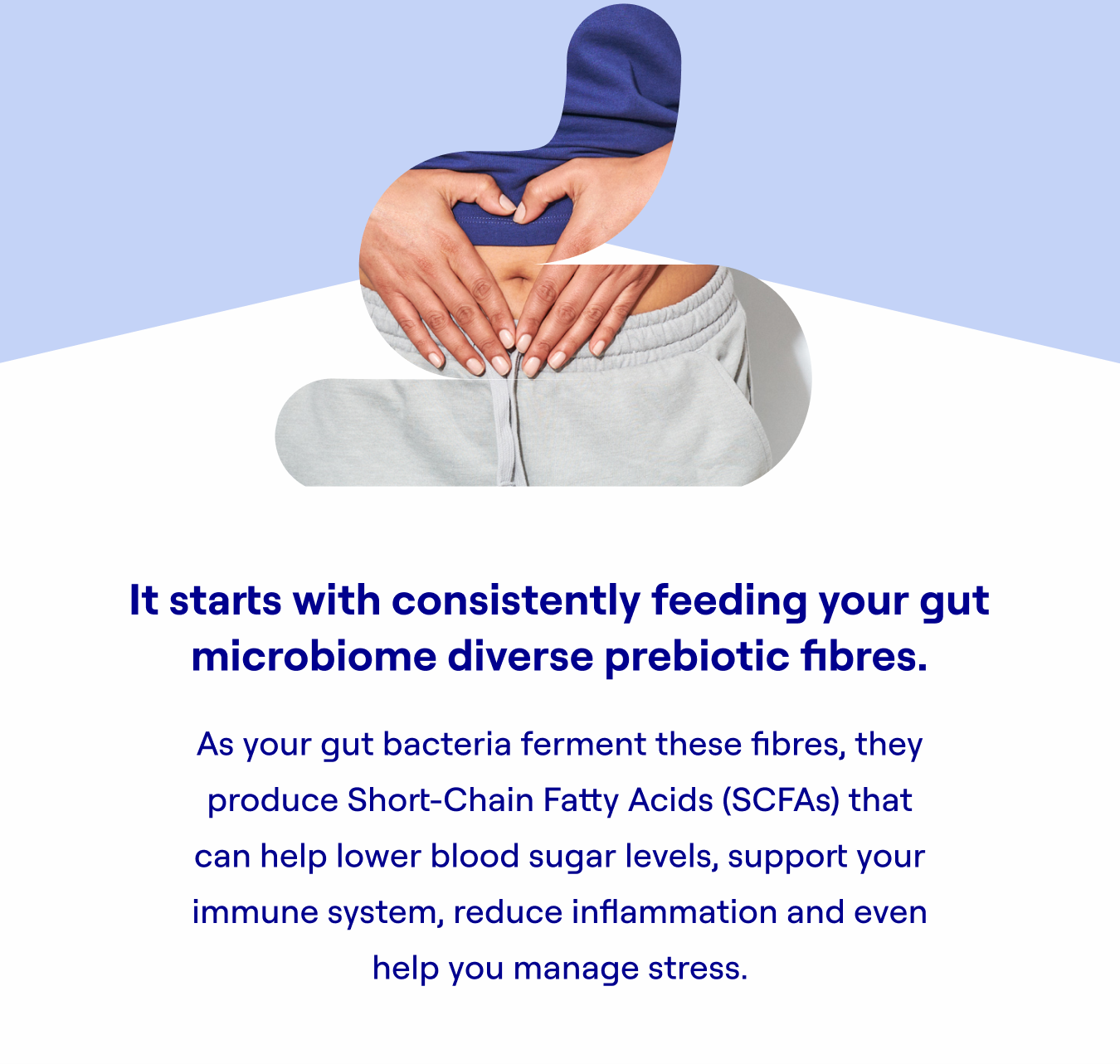It starts with consistently feeding your gut microbiome diverse prebiotic fibres. As your gut bacteria ferment these fi bres, they produce Short-Chain Fatty Acids (SCFAs) that can help lower blood sugar levels, support your immune system, reduce infl ammation and even help you manage stress.