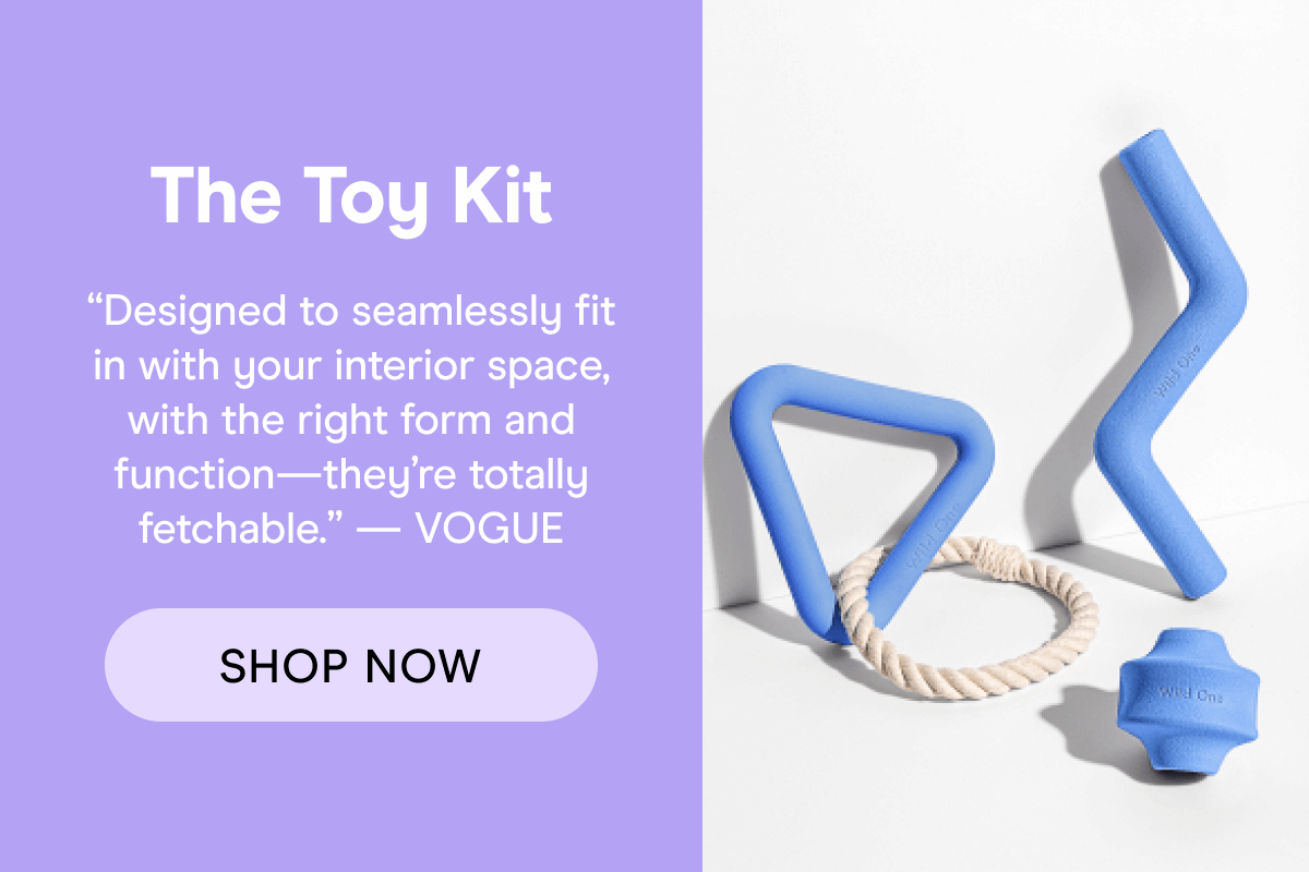 Toy Kit