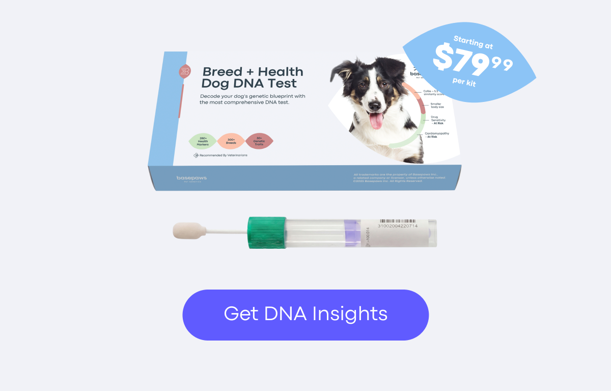 Get DNA Insights