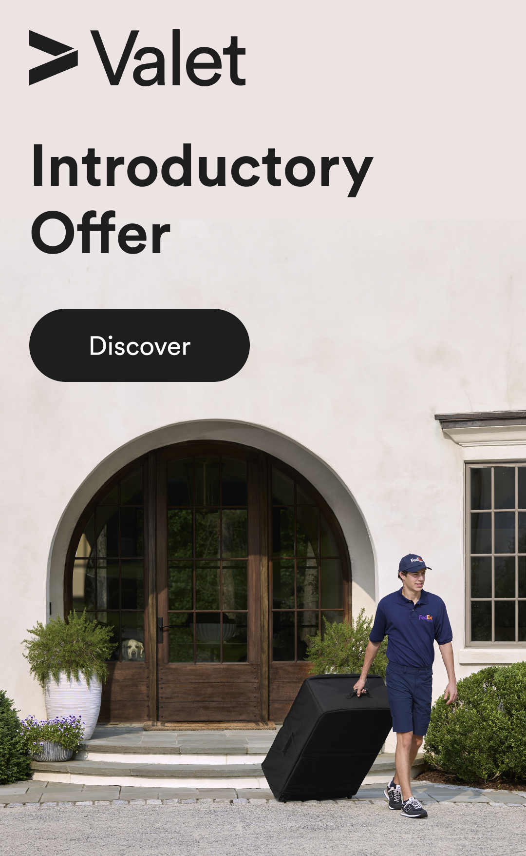 introductory offer - discover