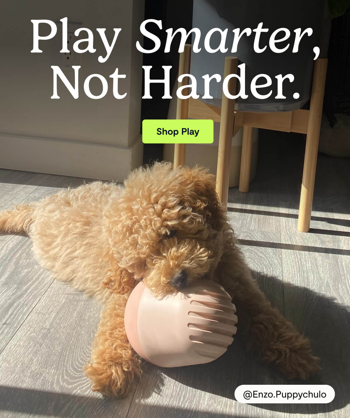 Play Smarter, Not Harder.