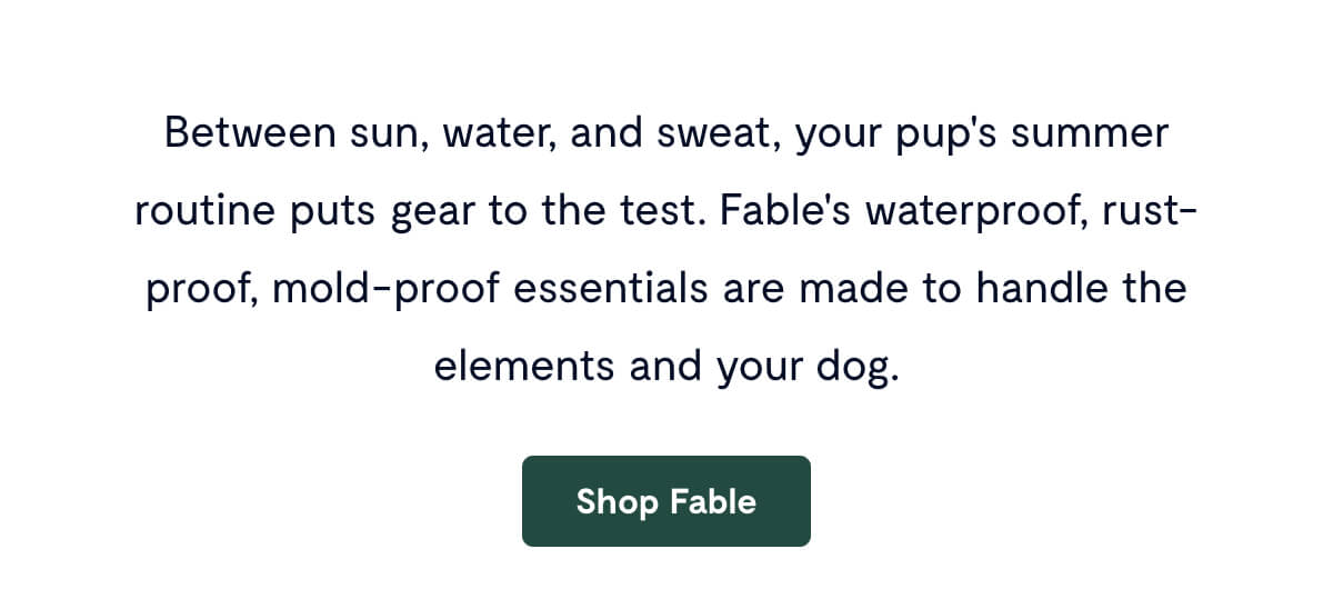Between sun, water, and sweat, your pup's summer routine puts gear to the test. Fable's waterproof, rust-proof, mold-proof essentials are made to handle the elements and your dog.