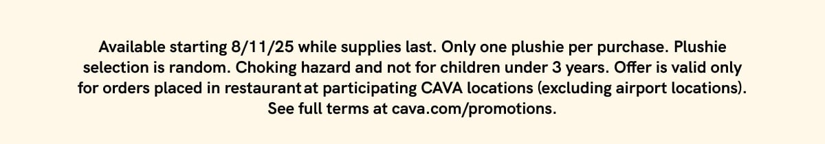 Promo Terms & Conditions