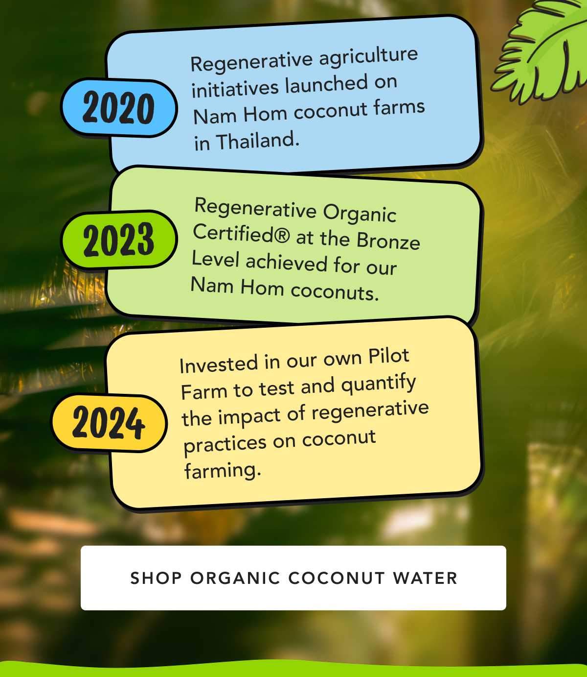 2020 - Regenerative agriculture initiatives launched on Nam Hom coconut farms in Thailand. | 2023 - Regenerative Organic Certified® at the Bronze Level achieved for our Nam Hom coconuts. | 2024 - Invested in our own Pilot Farm to test and quantify the impact of regenerative practices on coconut farming. | Shop Organic Coconut Water