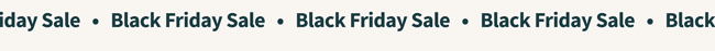 Black Friday Sale