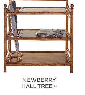 Newberry Hall Tree