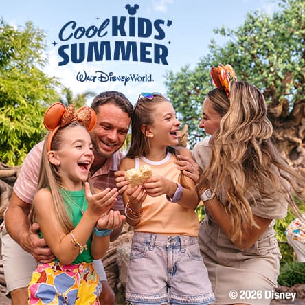 Orlando: Walt Disney World Resort Promotional Package.