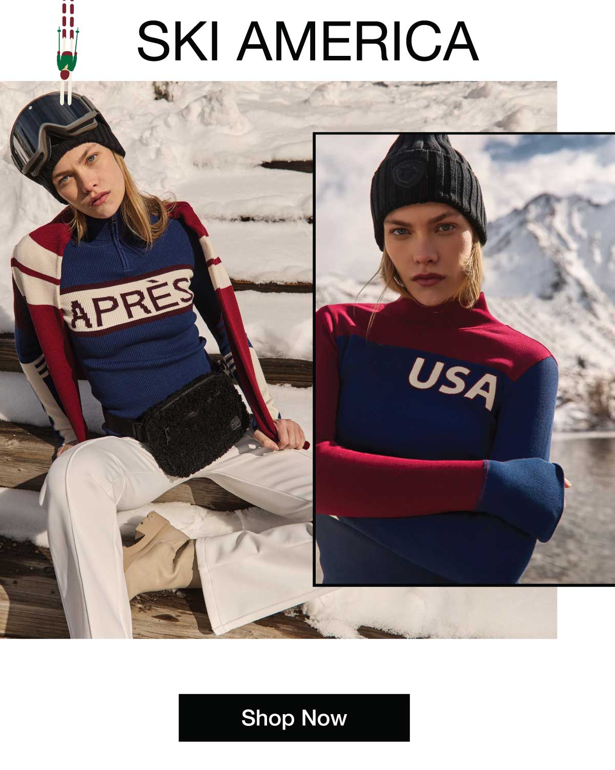 Shop Ski America 