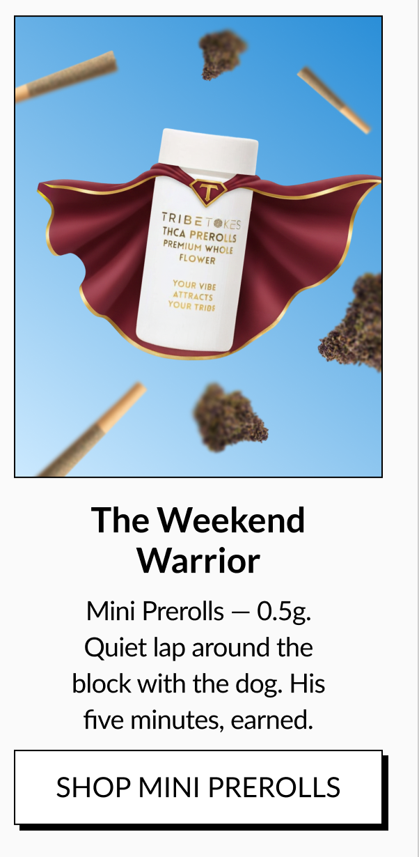 The Weekend Warrior