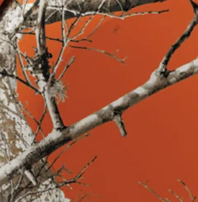 Realtree Hazard