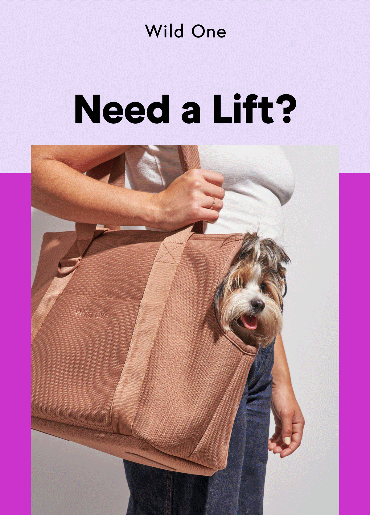 Need a lift? If there's one thing that Wild One dogs love, it's going for a W-A-L-K (shh, don't say it out loud!). But let's face it—when they're tired, they're not gonna move. Keep calm and carry on instead! Explore Carry