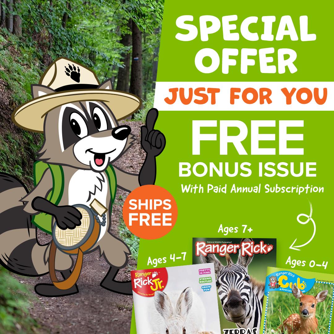 Special offer just for you. Free bonus issue with paid annual subscription. Ships free.
