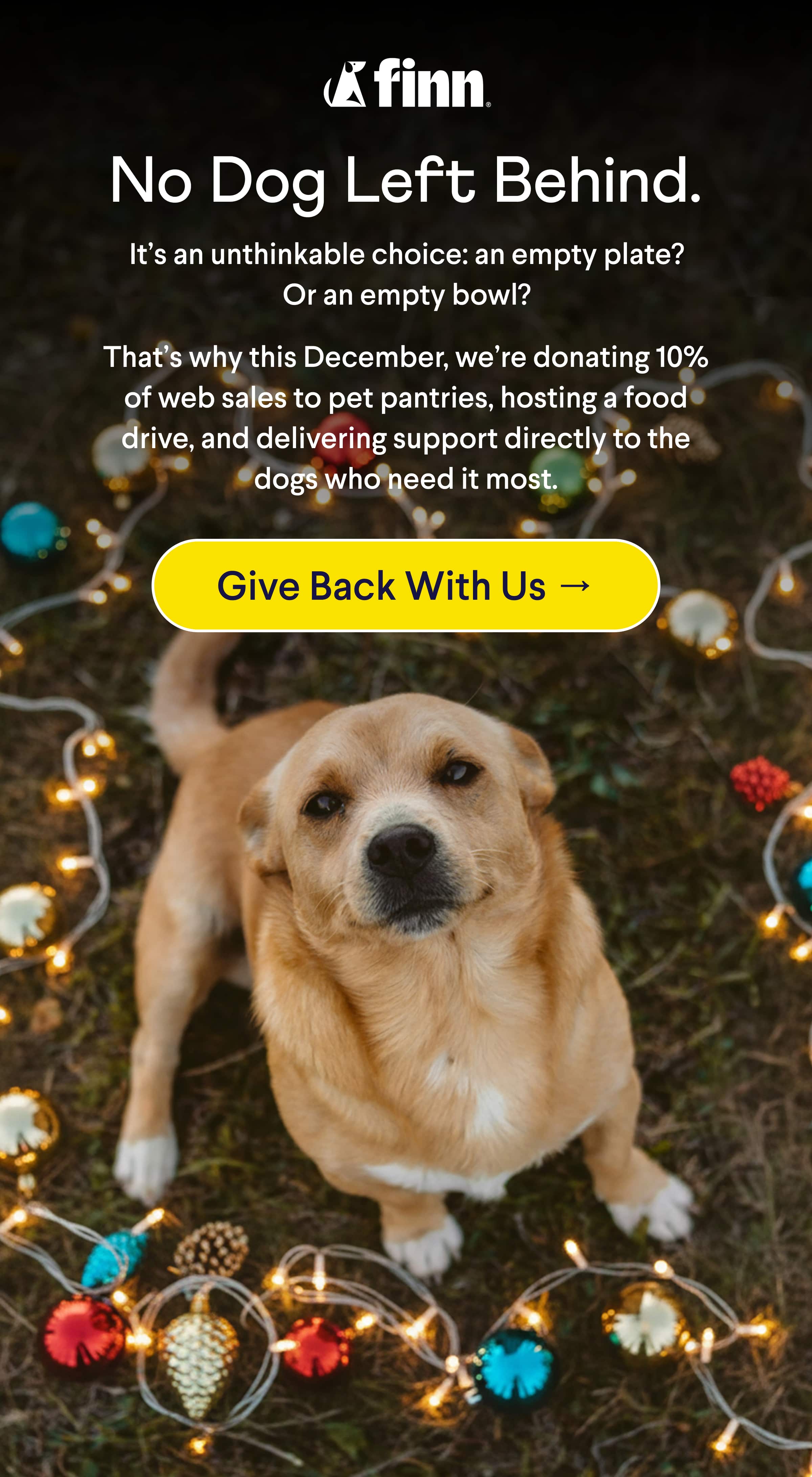 Finn logo. Text: No Dog Left Behind. It’s an unthinkable choice: an empty plate? Or an empty bowl? That’s why this December, we’re donating 10% of web sales to pet pantries, hosting a food drive, and delivering support directly to the dogs who need it most. CTA: Give Back With Us →