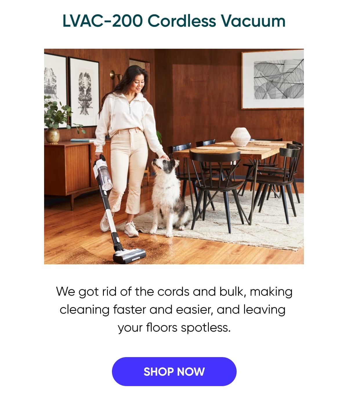 LVAC-200 Cordless Vacuum