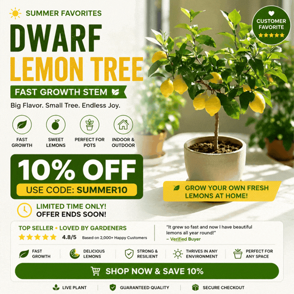 The Mid-Year Markdowns Event! 15% OFF using CODE: MIDYEAR15