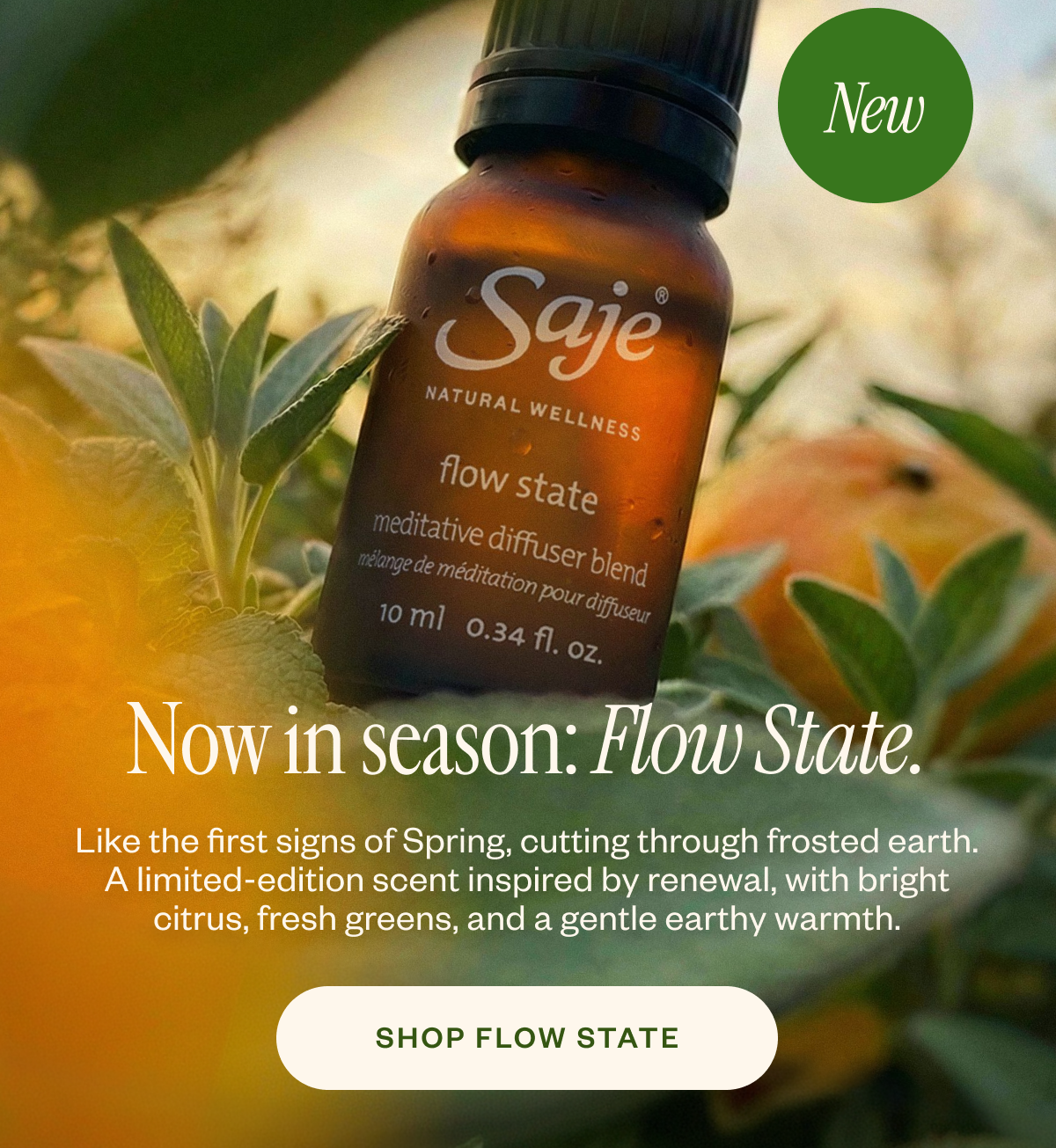 Now in season: Flow State