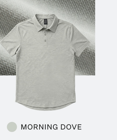 Morning Dove
